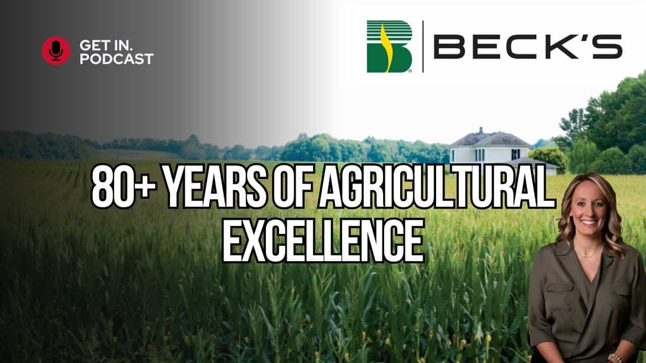 Exploring Beck's Hybrids' Lasting Legacy and Faithful Future