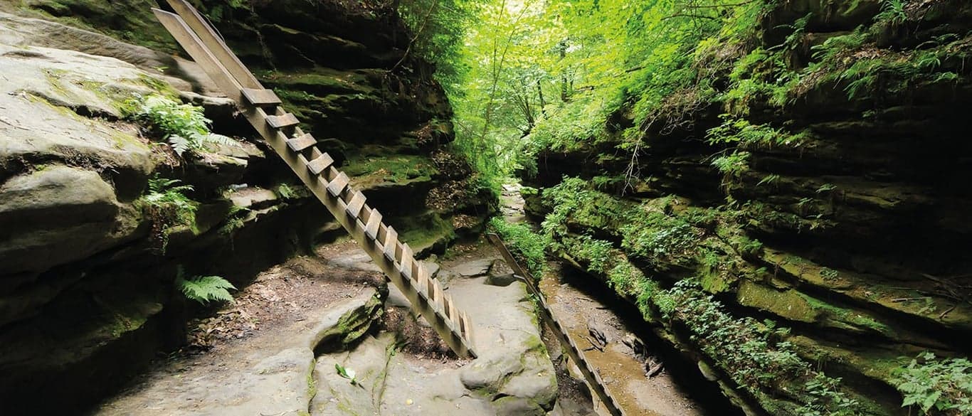 Five Indiana State Parks That Are Perfect for Spring Camping and Hiking