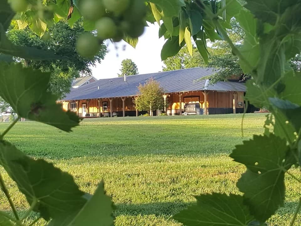 Holtkamp Winery & Vineyards: A Hidden Gem in Sunman, Indiana