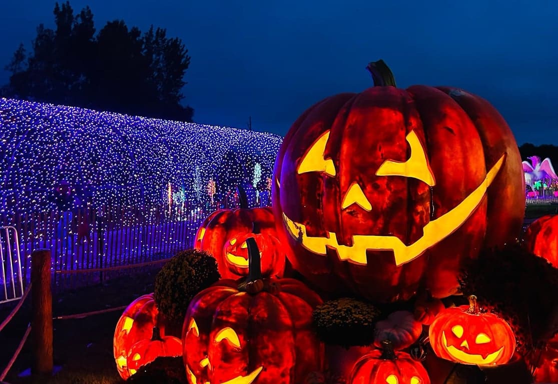 Northern Indiana’s Best Pumpkin Patches to Visit in 2025