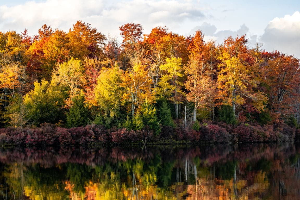 Best Places to See Fall Foliage in Indiana (2025)