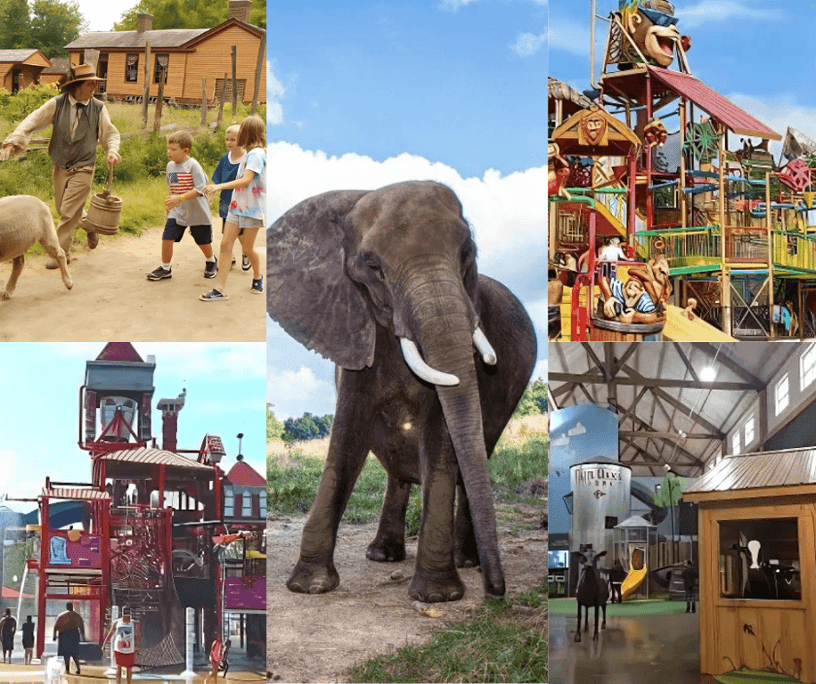 Soak Up the Fun: Outdoor Adventures for Kids in Indiana