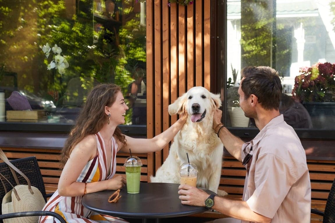 Dog Days in the Hoosier State: Indiana’s Top Pet-Friendly Spots
