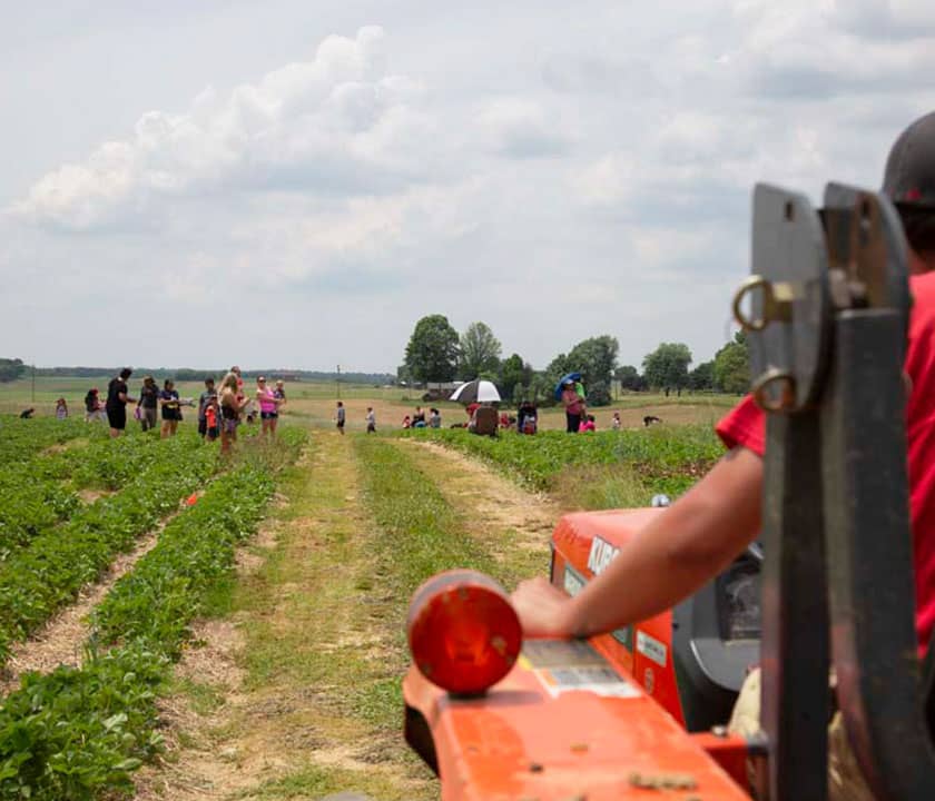 Huber’s Orchard & Winery: Southern Indiana’s Largest Apple Orchard & Pumpkin Patch