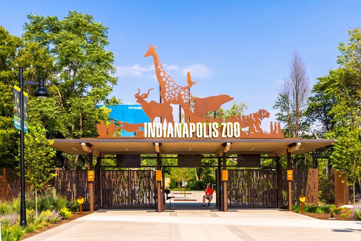 The Best Zoos in Indiana: Wild Adventures for Every Hoosier Family