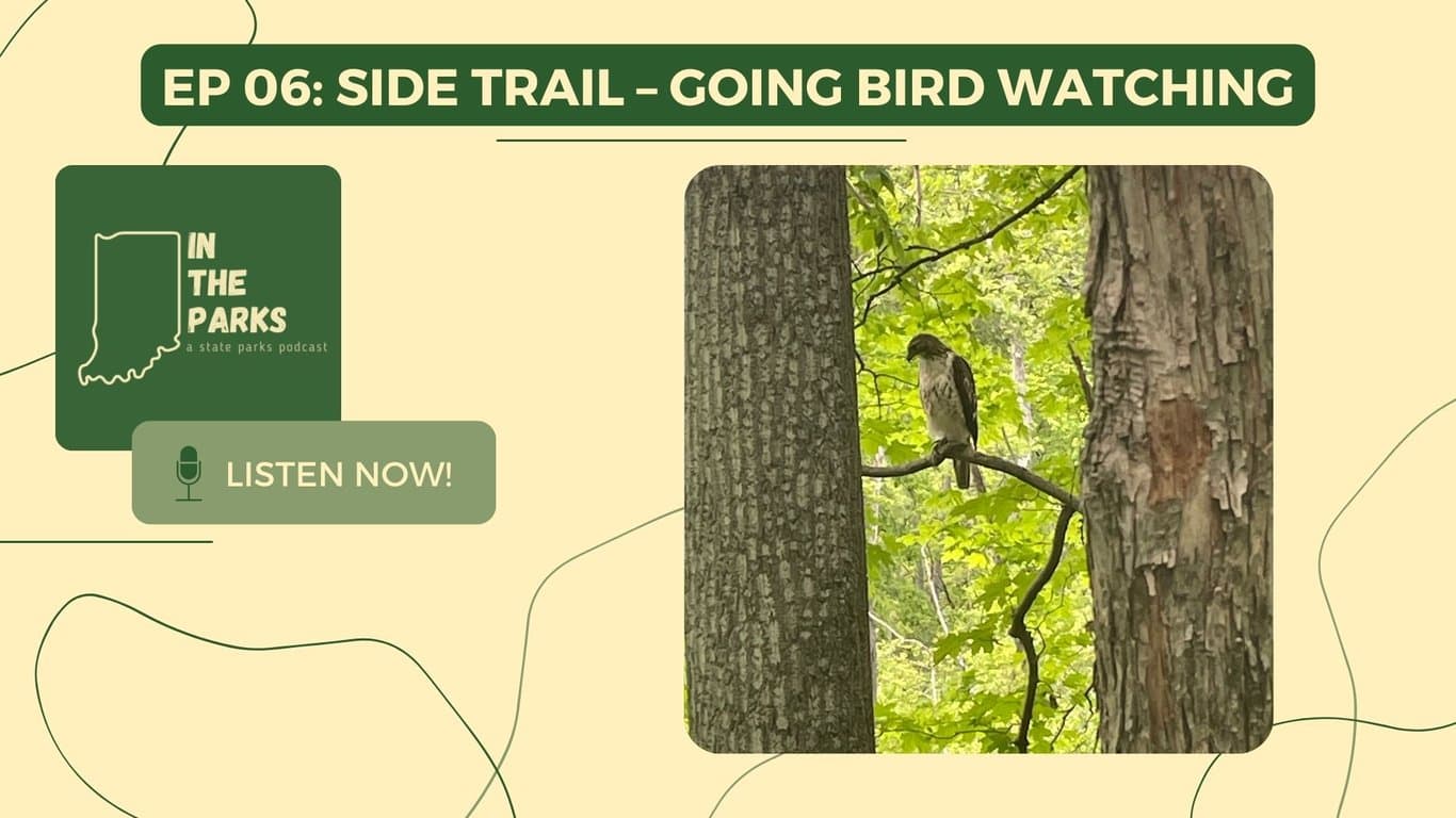 Side Trail: Going Birdwatching IN the Parks