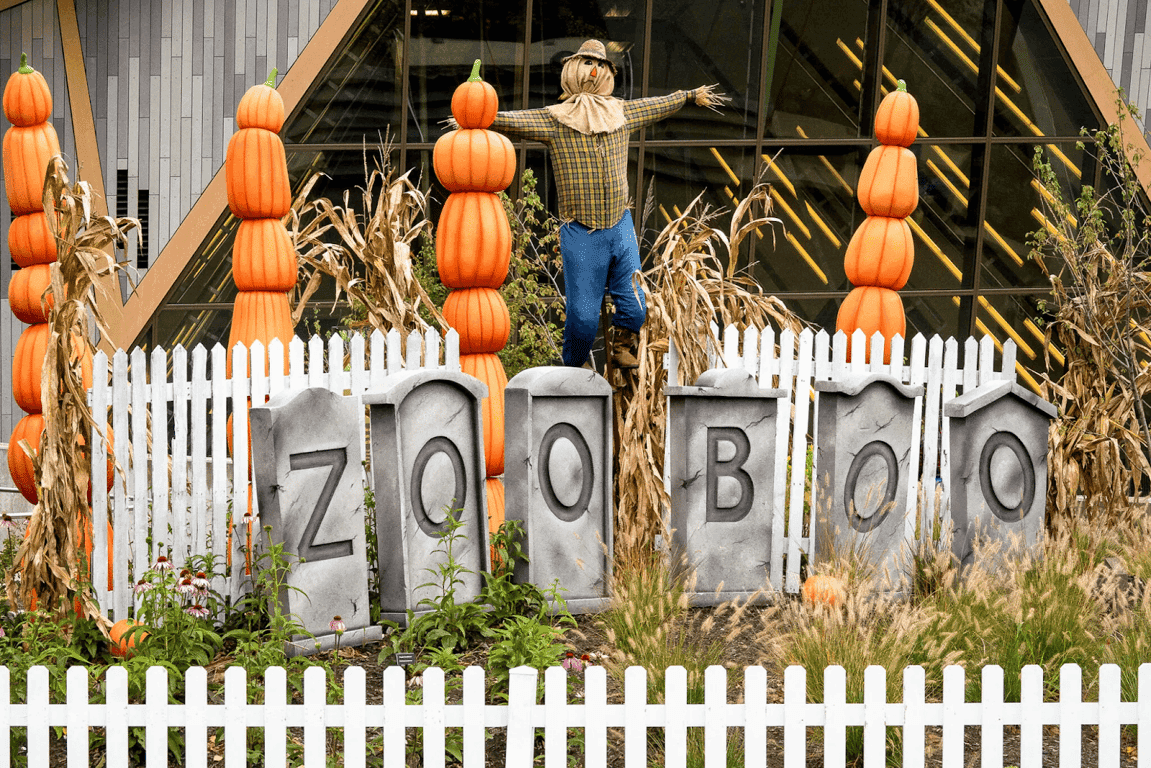 Spooky Season Awaits: Best Halloween Attractions in Indiana 2025