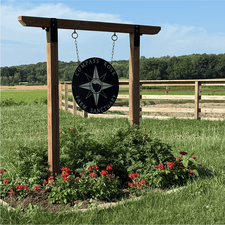 Compass Rose Farm Sanctuary Is Changing How Indiana Cares for Farm Animals