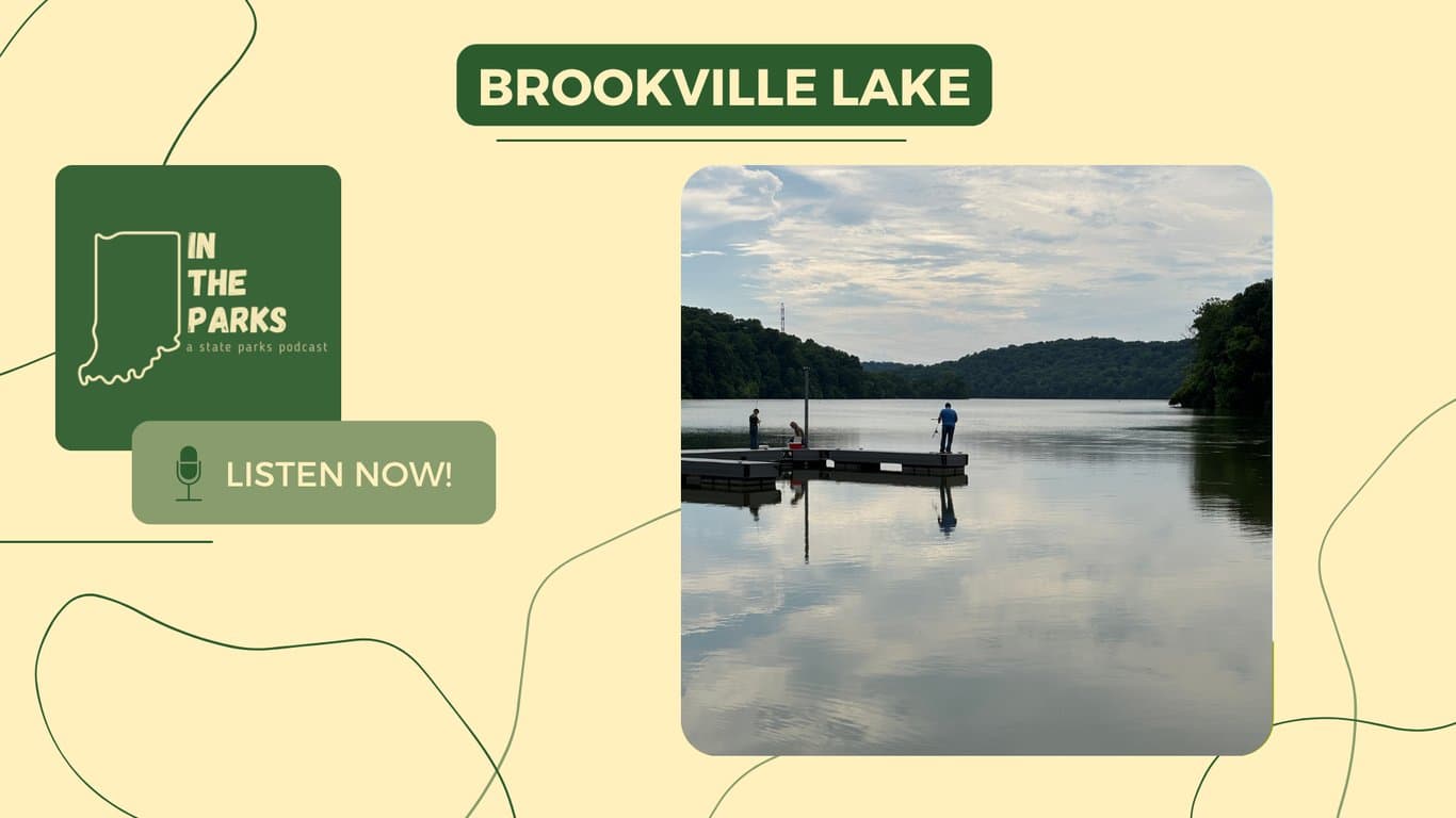 Brookville Lake: Bluebirds, Walleye, and 50 Years of Lake Life