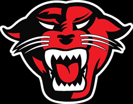 Davenport Panthers logo