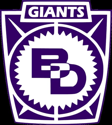 Ben Davis logo