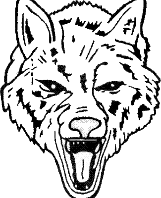 Boone Grove logo