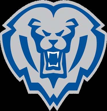 Hamilton Southeastern logo