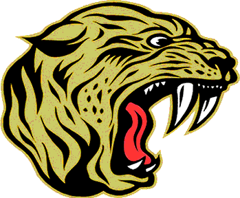Jasper logo