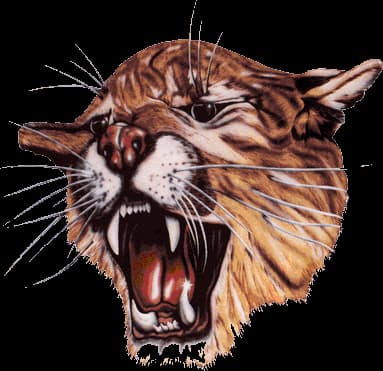 North Daviess logo