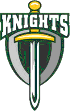 Northeastern logo