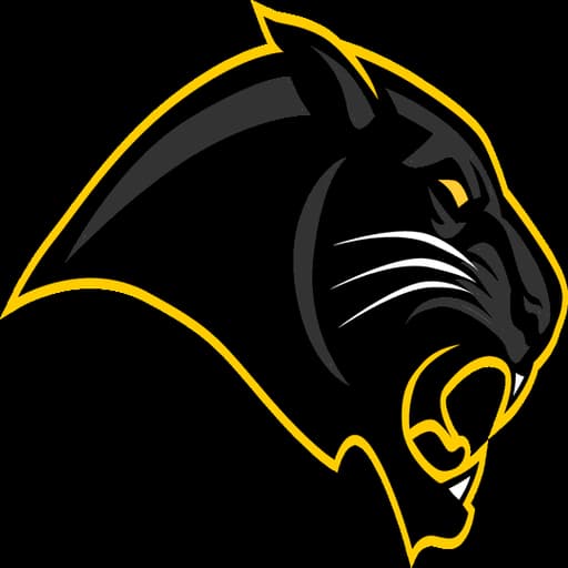 Pioneer logo