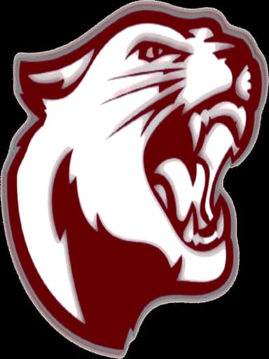 South Decatur logo