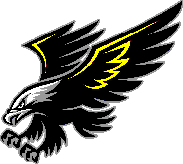 Springs Valley logo