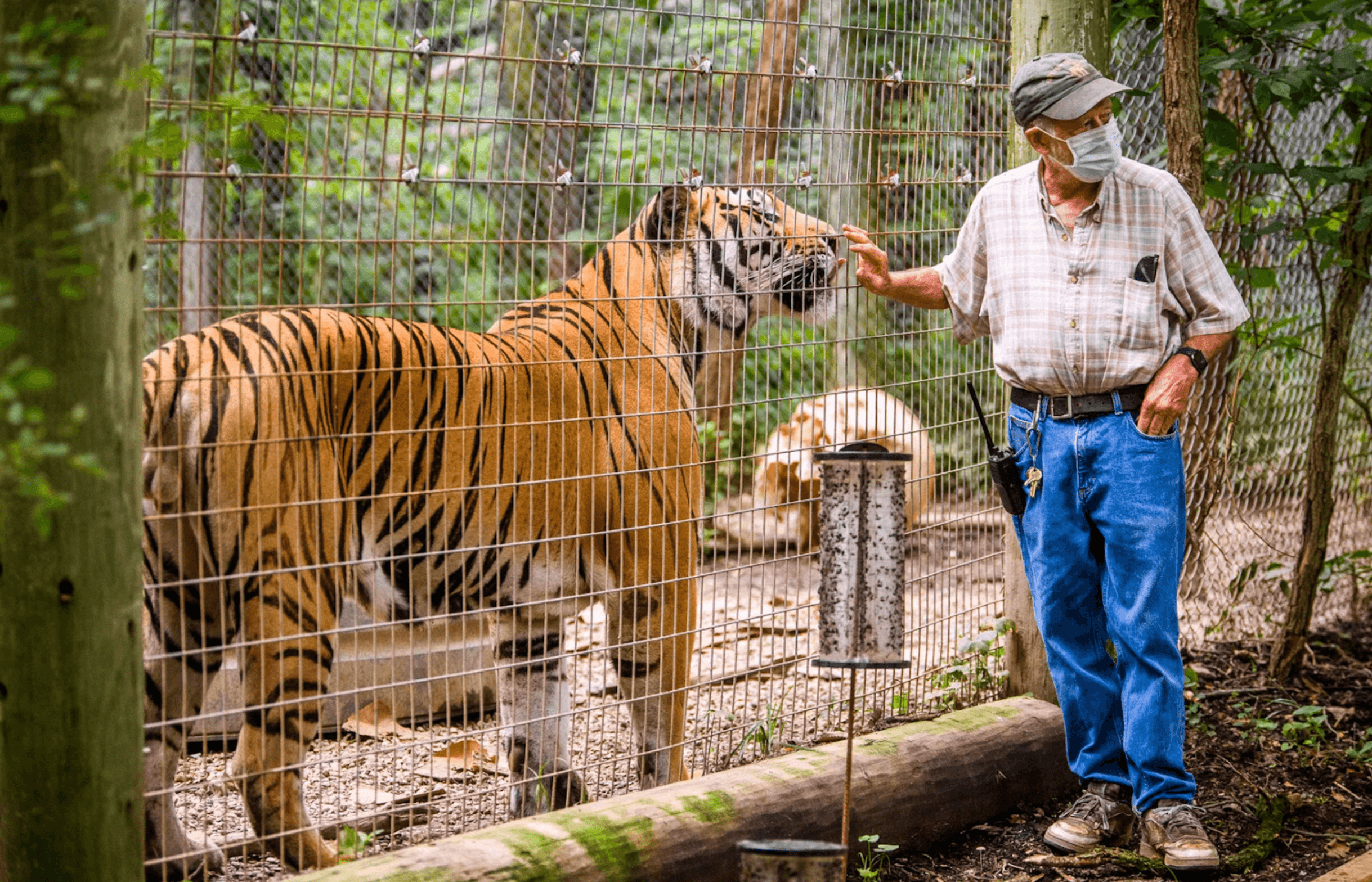A Wild Adventure at the Exotic Feline Rescue Center