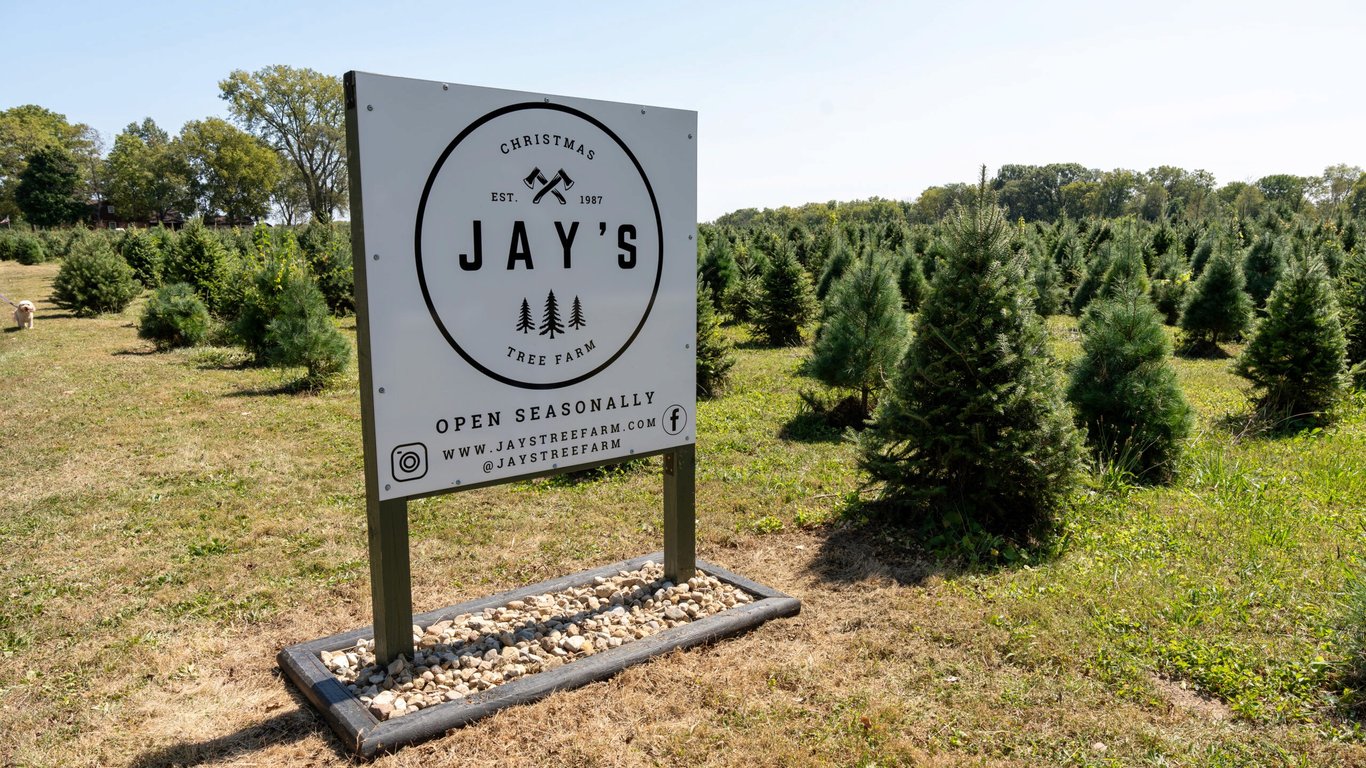 Discover the Magic: Top 6 Christmas Tree Farms in Central Indiana