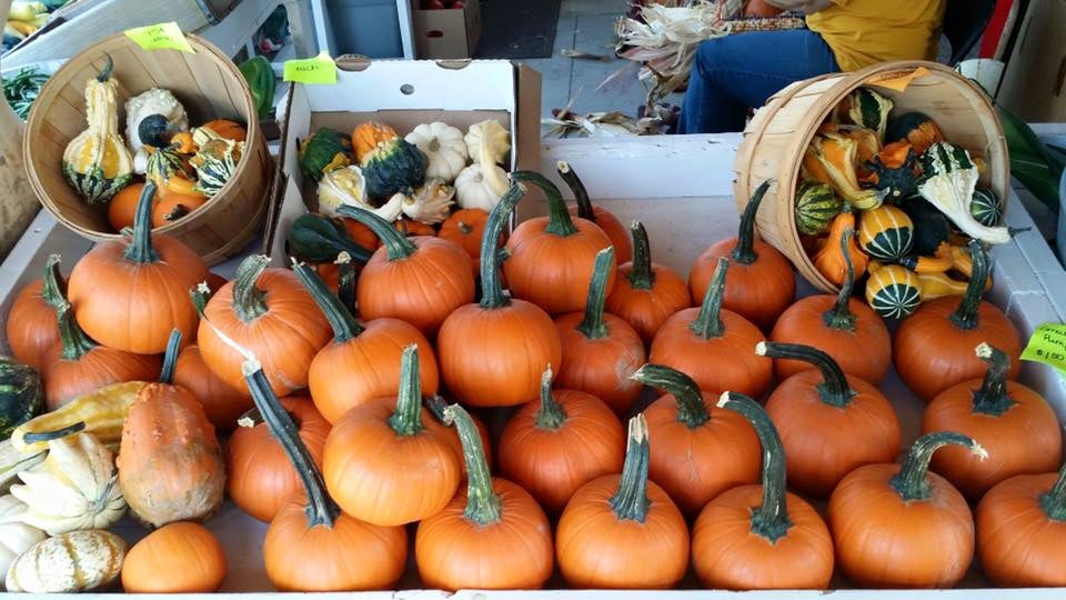 The Best Pumpkin Patches and Fall Farms in Southern Indiana