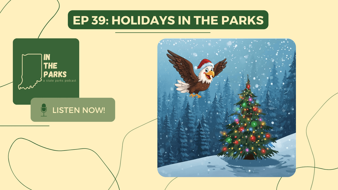 Side Trail: Holidays IN the Parks 2025