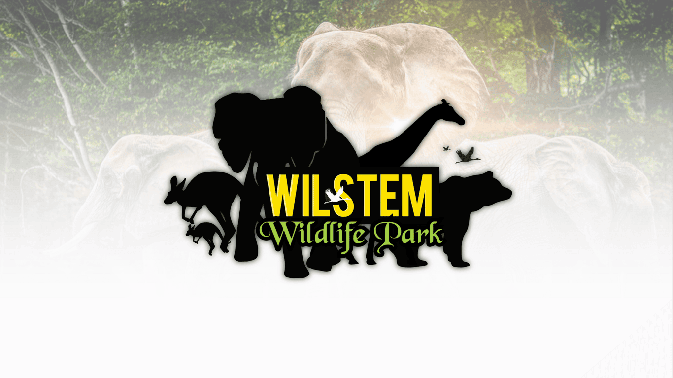 Wilstem Wildlife Park — A Southern Indiana Hidden Gem