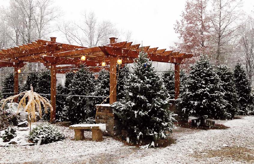 Eagle Creek Nursery: Indianapolis' Best-Kept Secret Has Been Growing for 110 Years
