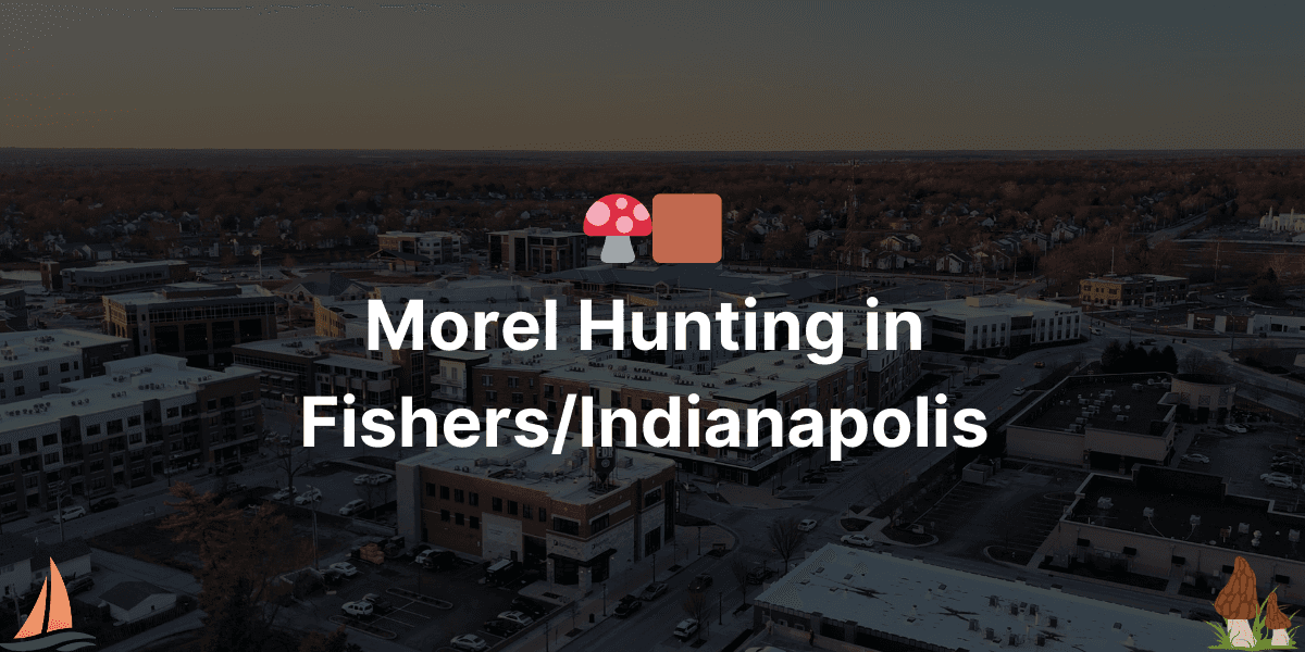 Ultimate Guide to Morel Mushroom Hunting in Indiana