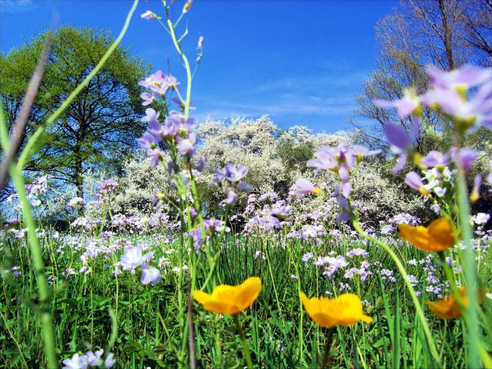 Spring Has Sprung—Sort Of! Your Ultimate Indiana Bucket List