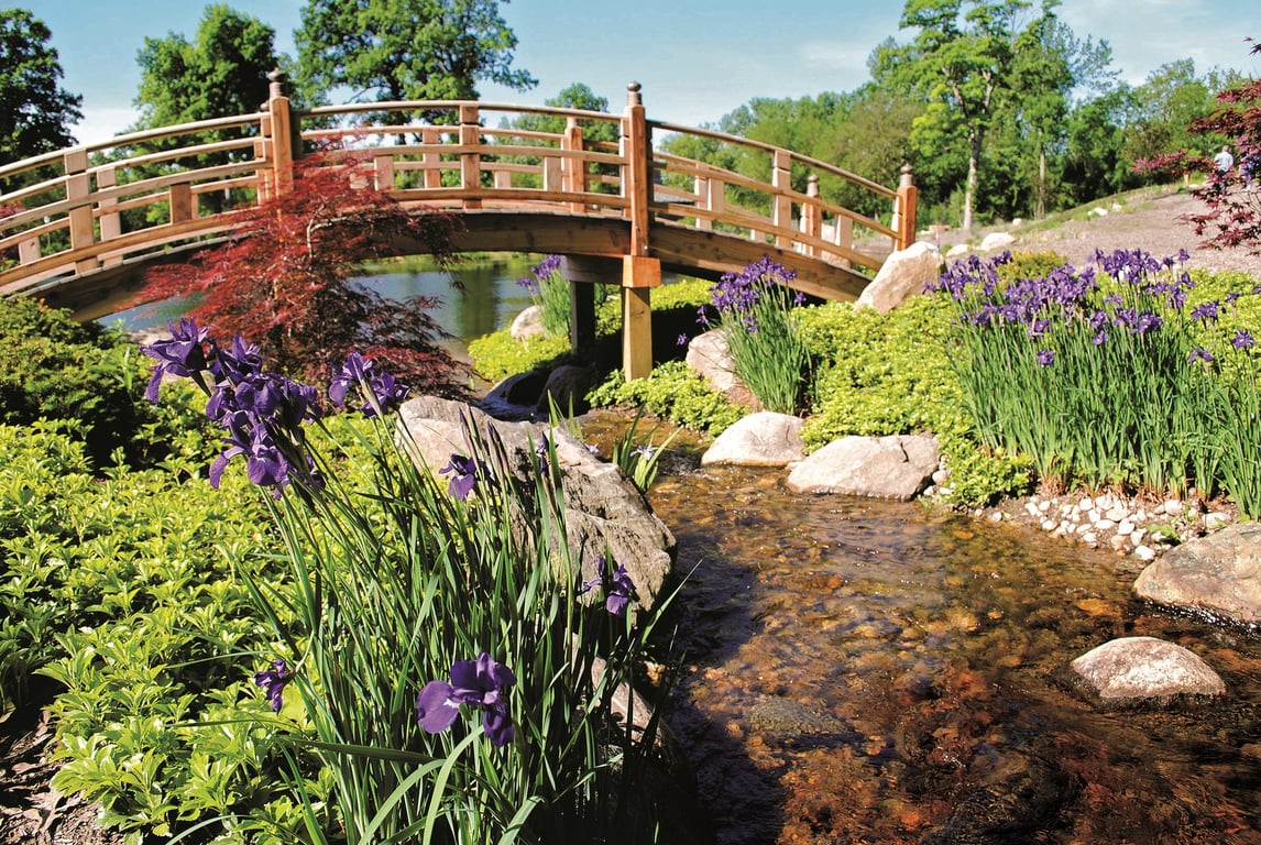 Wellfield Botanic Gardens: Where Nature, Art, and Flavor Bloom