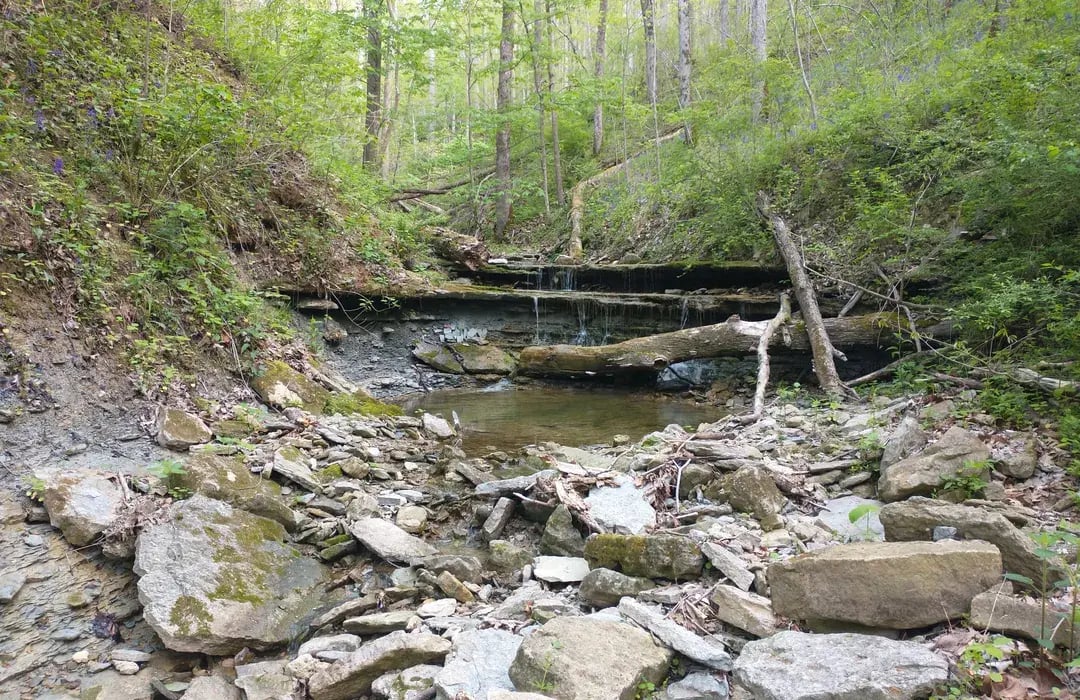 Hatcher Hill Trail: Madison’s Hidden Gem for Nature Lovers