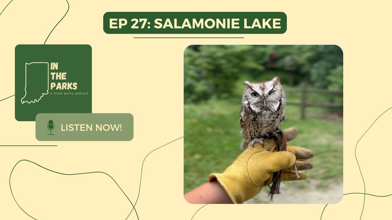 Salamonie Lake: A Park for Every Personality