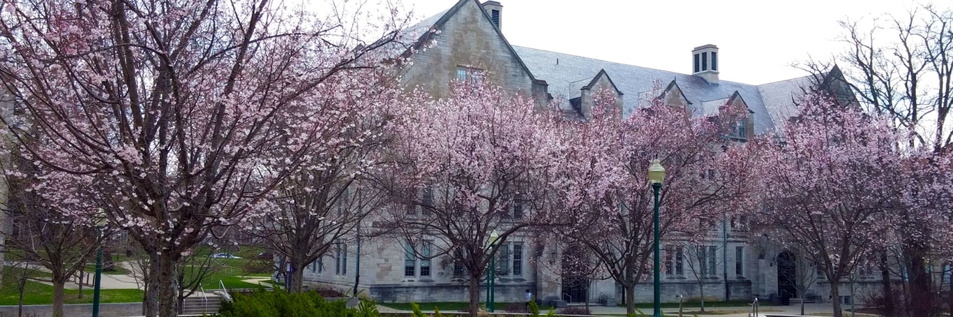 Cherry Blossom Season in Indiana: 4 Spots Worth the Drive Before the Petals Fall