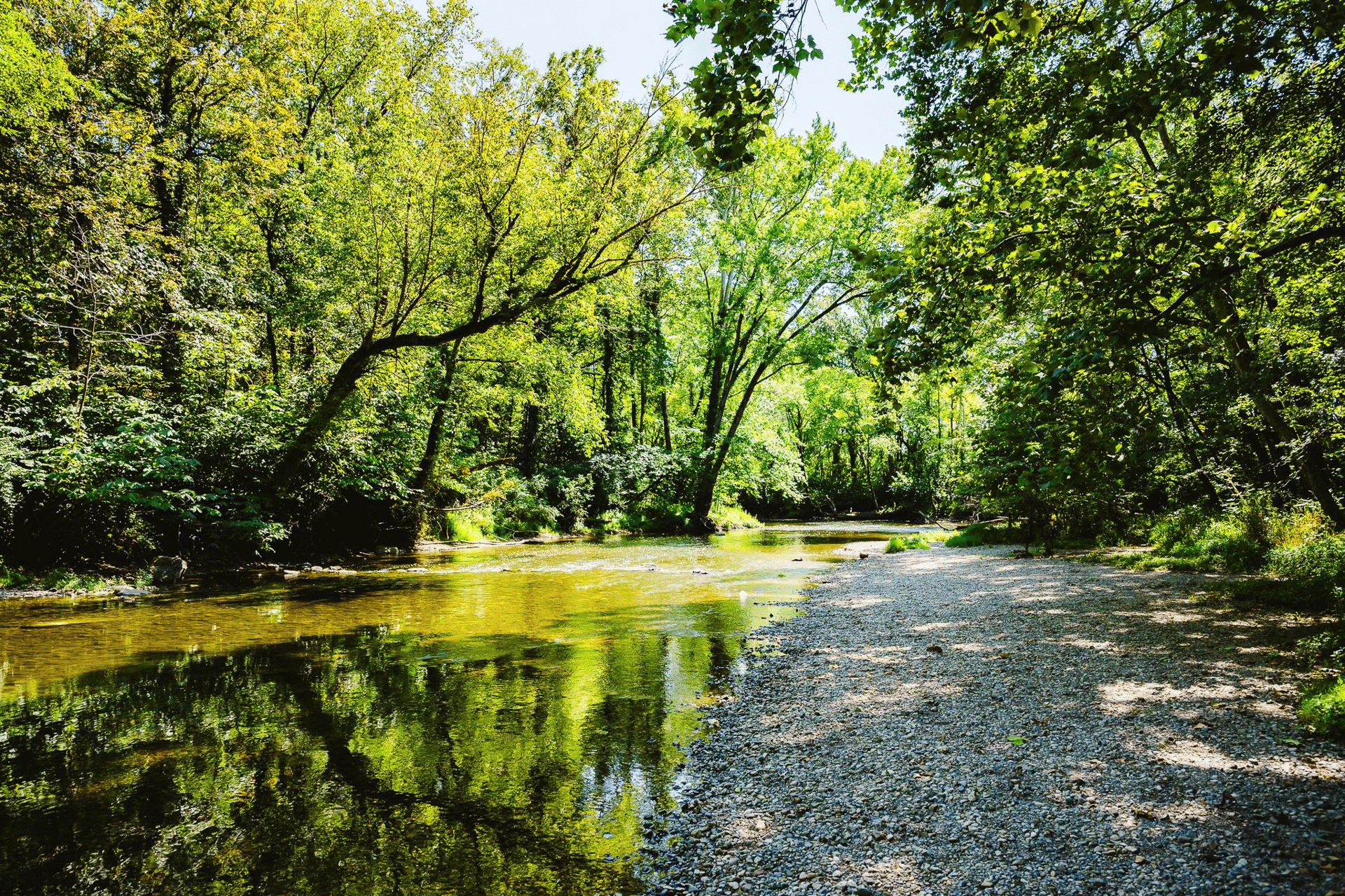 Hague Road Nature Haven: A Hidden Gem in Hamilton County