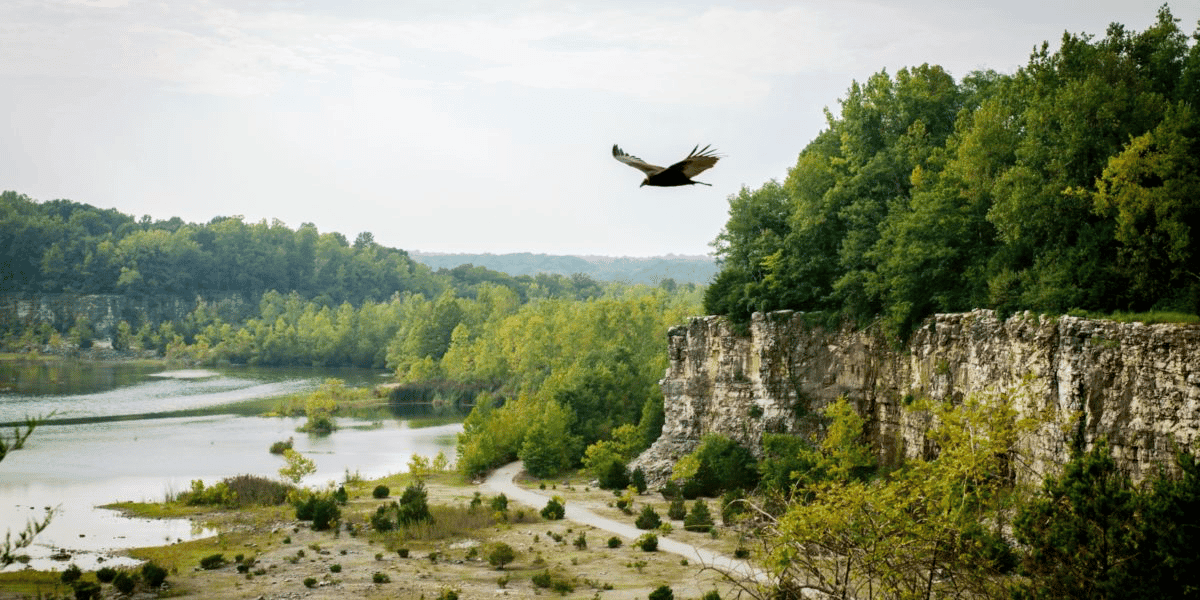 DePauw University Nature Park: A Hidden Outdoor Escape in Greencastle, Indiana
