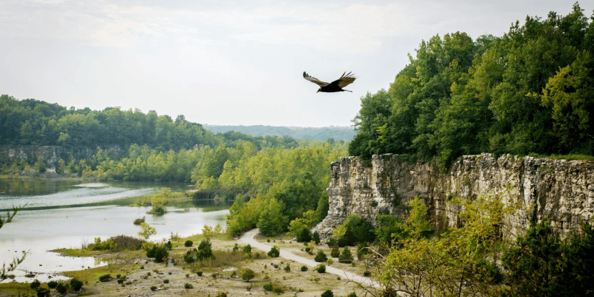 DePauw University Nature Park: A Hidden Outdoor Escape in Greencastle, Indiana