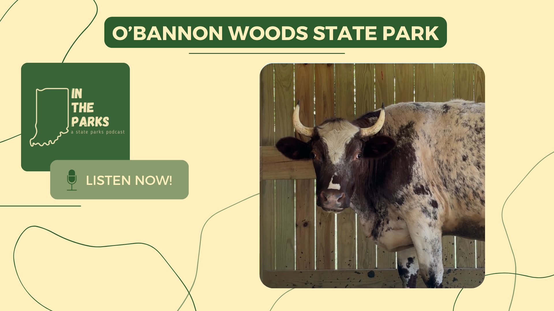 IN the Parks - O'Bannon Woods State Park