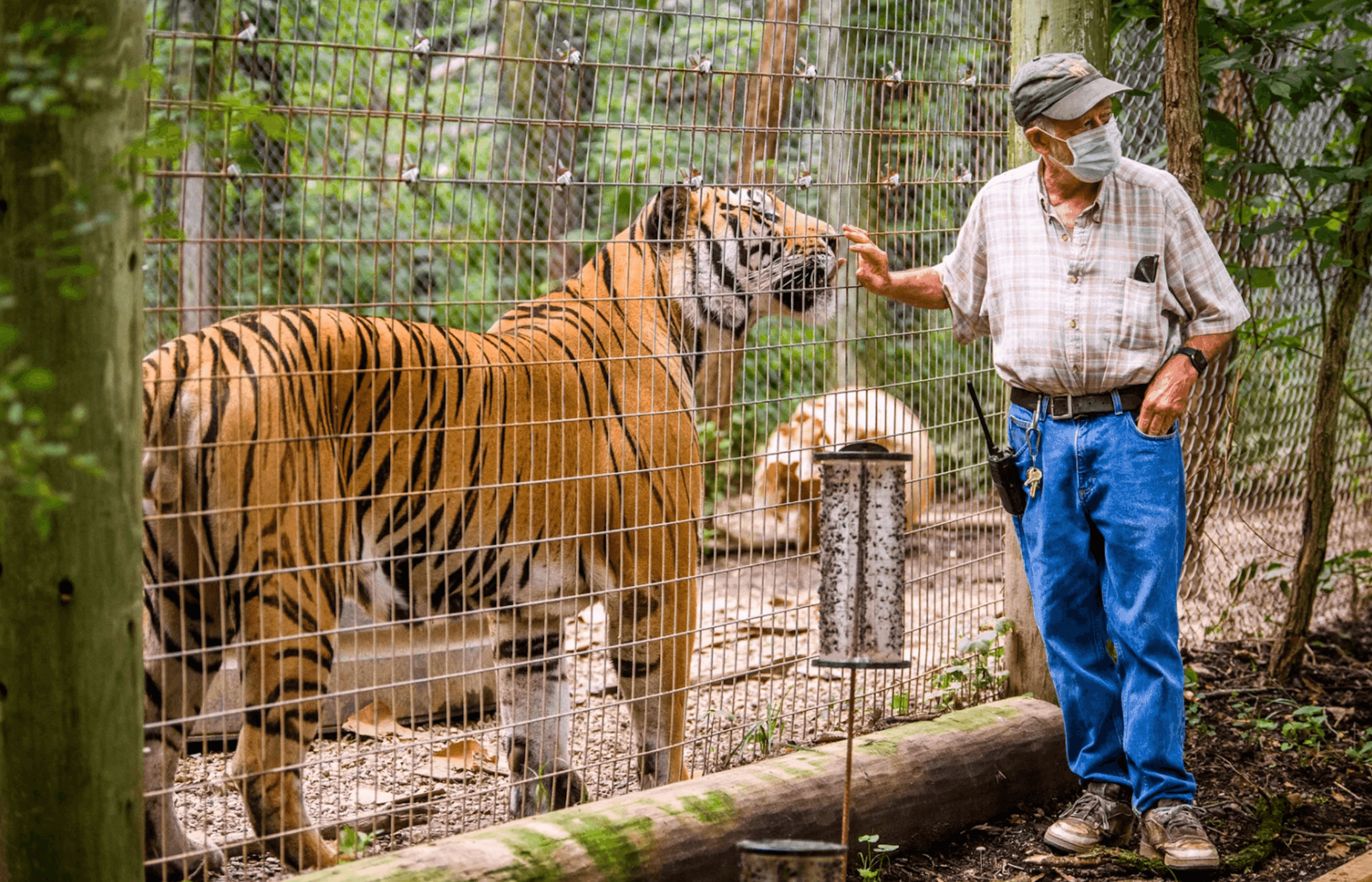 A Wild Adventure at the Exotic Feline Rescue Center
